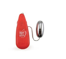  Adam & Eve Vibrating Silver Bullet 